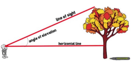 Line of Sight