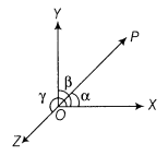 Vector Algebra Class 12 Notes Maths Chapter 10