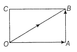 Vector Algebra Class 12 Notes Maths Chapter 10