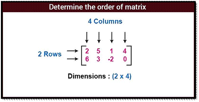 Determine-the-order-of-matrix.jpg