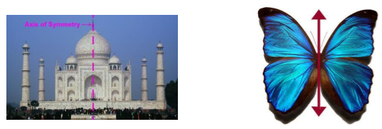 https://files.askiitians.com/cdn/images/2019130-125611843-8623-taj-mahal-and-butterfly.png