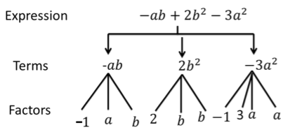 Factors of a Term