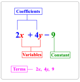 Parts of an Expression