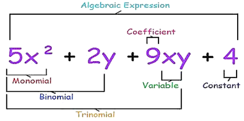 Algebraic Expressions