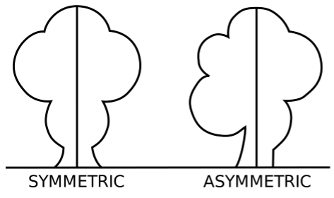 Symmetry and Asymmetry