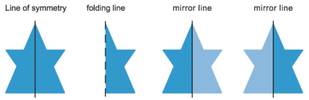 Reflection Symmetry