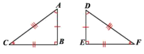Congruent triangle