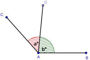 Adjacent Angles