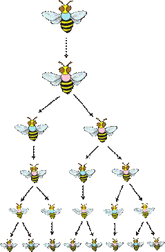 alg2_sequence_graphik_4.png