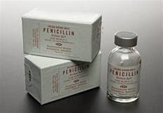 Image result for Penicillin