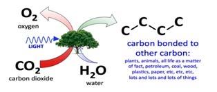 Ecological Services class 12 biology