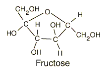 fructose monosaccharides