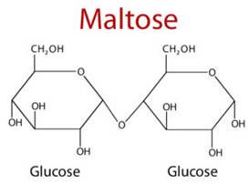 Maltose disaccharides