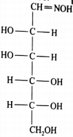 bio119b.PNG