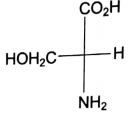 bio120b.PNG