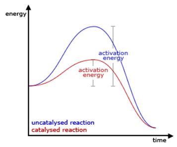 Image result for catalyst activity