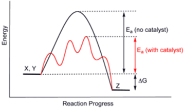 Image result for catalysis