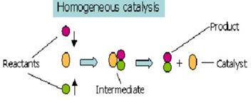 Image result for homogeneous catalysis