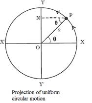 Projection of Uniform Circular Motion
