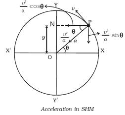 Acceleration in SHM
