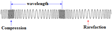 Component of Longitudinal Wave