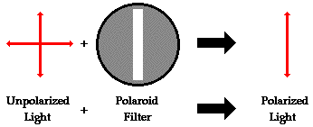 http://www.physicsclassroom.com/Class/light/u12l1e2.gif