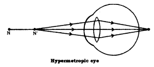 Human Eye and Colourful World Class 10 Notes Science Chapter 11 5