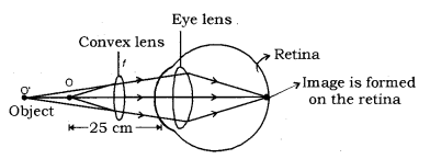 Human Eye and Colourful World Class 10 Notes Science Chapter 11 6