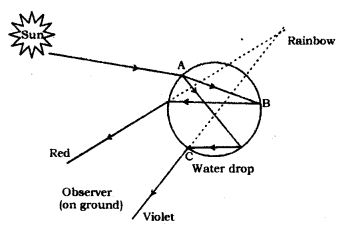 Human Eye and Colourful World Class 10 Notes Science Chapter 11 10