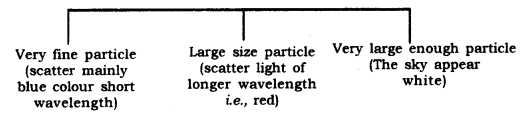 Human Eye and Colourful World Class 10 Notes Science Chapter 11 14