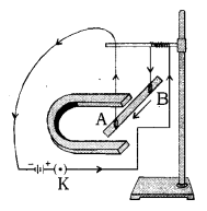 Magnetic Effects of Electric Current Class 10 Notes Science Chapter 13 9