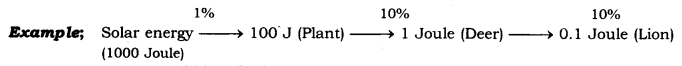 Our Environment Class 10 Notes Science Chapter 15 5