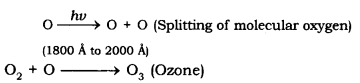 Our Environment Class 10 Notes Science Chapter 15 6