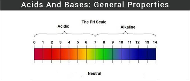 Acids And Bases