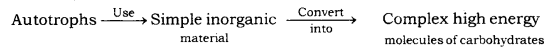 Life Processes Class 10 Notes Science Chapter 6 1