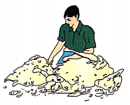 shearing.PNG