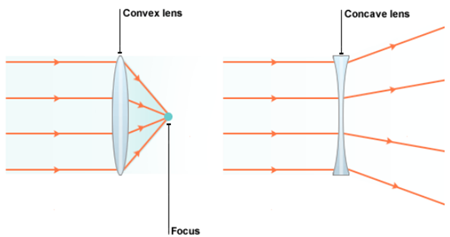 Convex Lens and Concave Lens