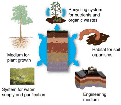 -importance-of-soil.png