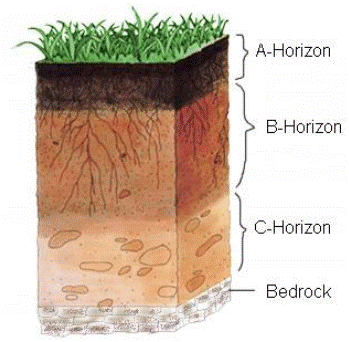 Soil Profile