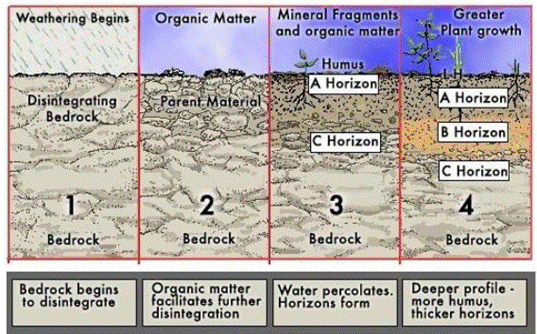 Formation of Soil