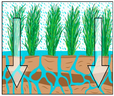 Percolation of Water