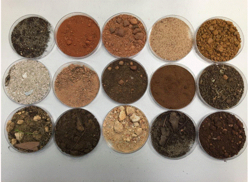 Soils have different Colors