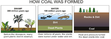 coalformation2.PNG