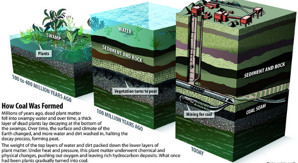 coalformation3.PNG