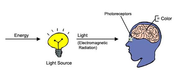 Figure 1 Light makes things Visible