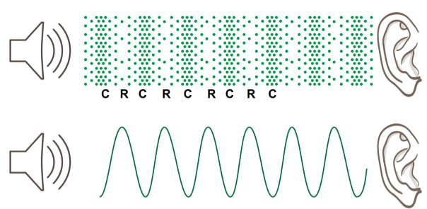 Sound wave causing compression (C) and refraction (R)