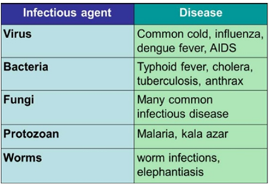  Infectious Agents