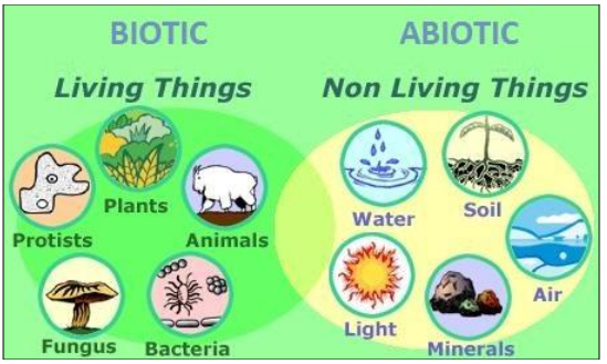 Biotic and Abiotic Components