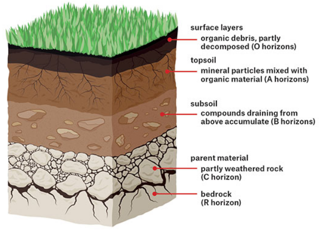 Soil Profile