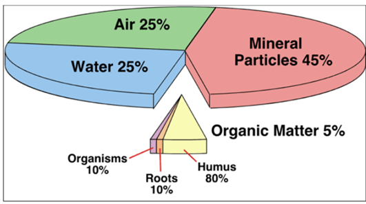 Composition of Soil